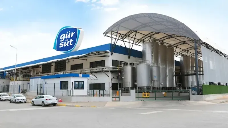 İzmir Asliye Mahkemesi, Gürsüt'ün konkordato mühletini uzattı