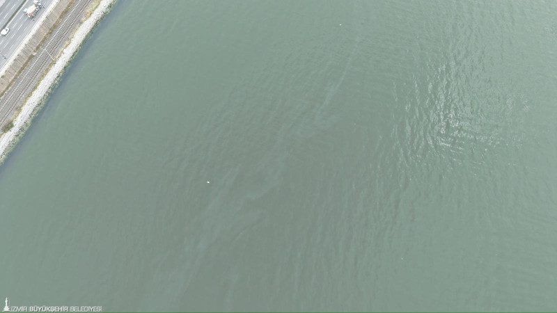 İzmir Körfezi’nde kirlilik 11. kez tespit edildi